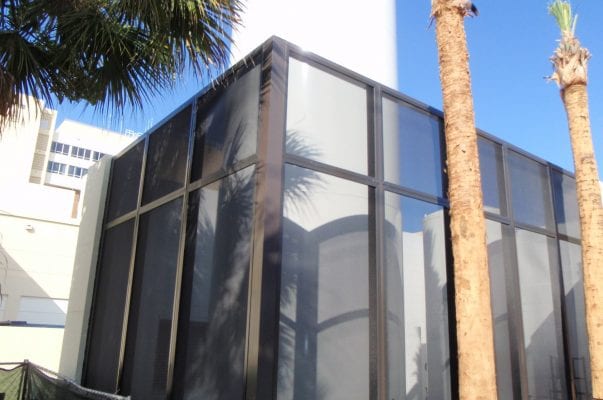 A building with glass windows and a palm tree in front of it.
